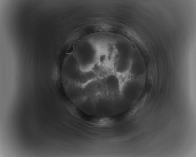 X0000100490173200806131257