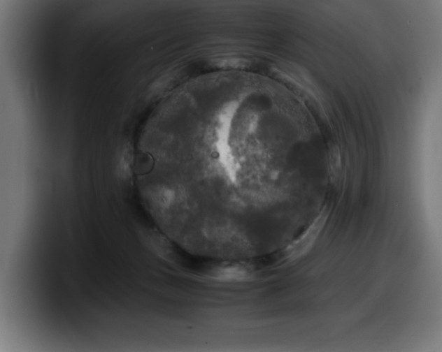 X0000100490175200806131257