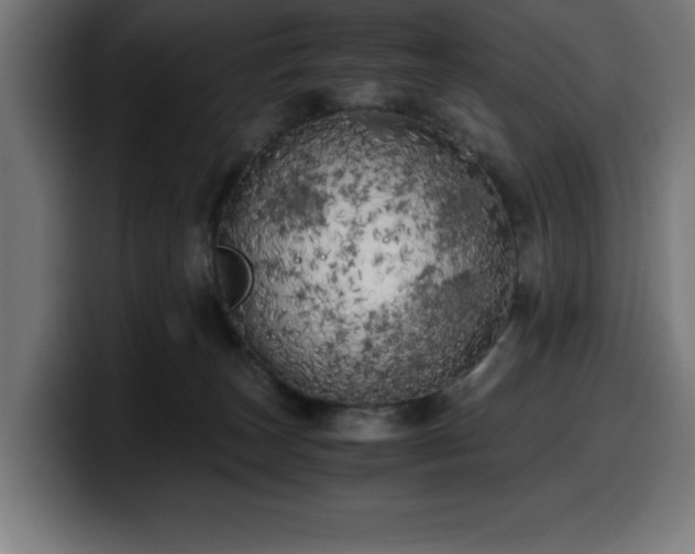 X0000100490179200806131257