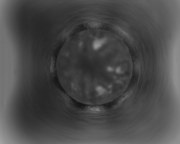 X0000100490181200806131257