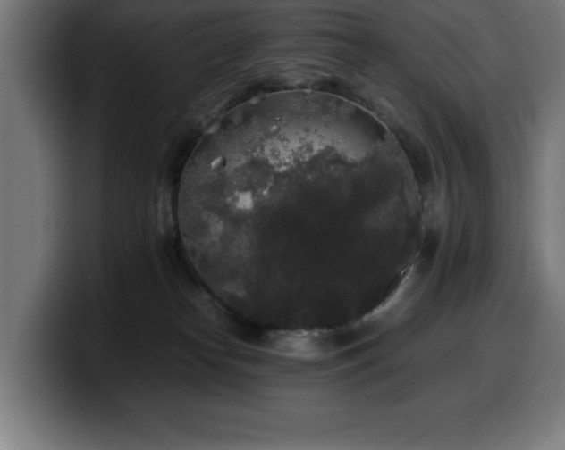 X0000100490182200806131257