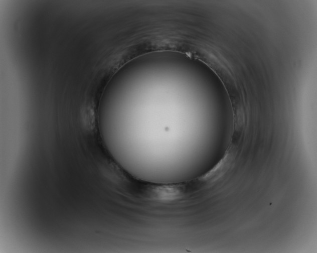 X0000100490183200806131257