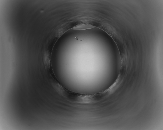X0000100490186200806131257