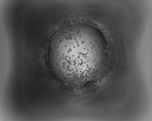 X0000100490192200806131257