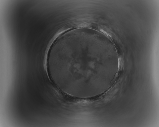 X0000100490195200806131257
