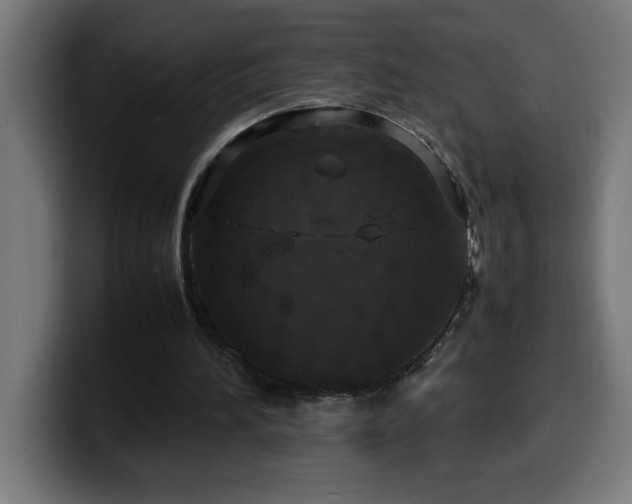 X0000100490196200806131257