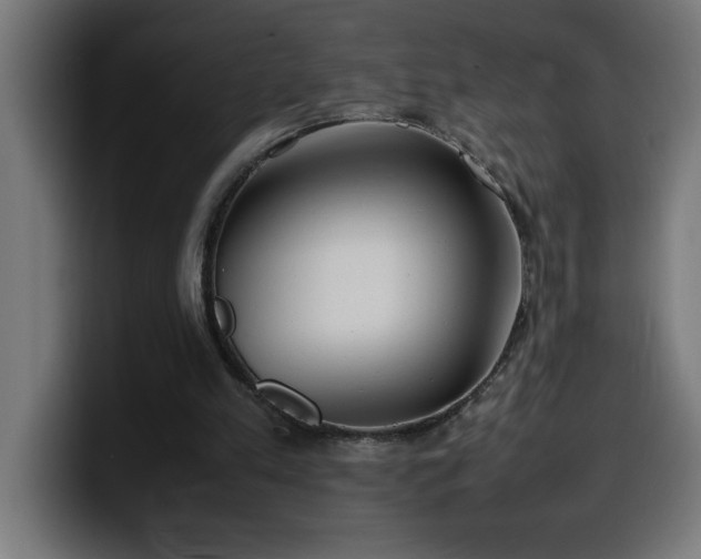 X0000100490197200806131257