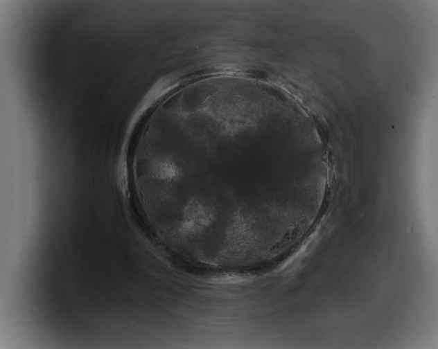X0000100490198200806131257