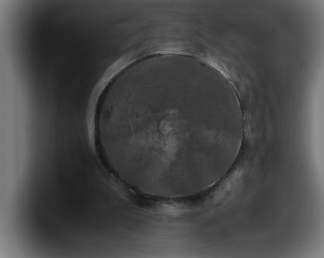 X0000100490199200806131257
