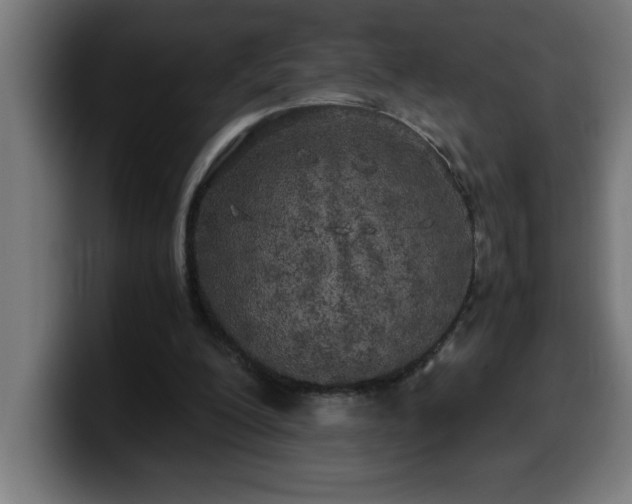 X0000100490200200806131257