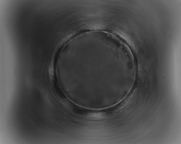 X0000100490202200806131256