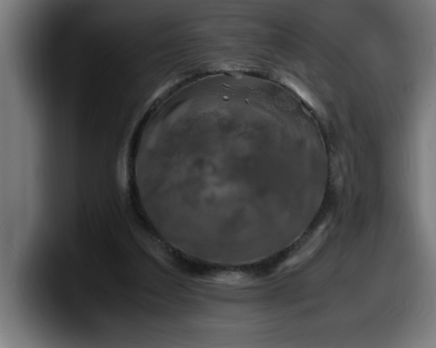 X0000100490203200806131256