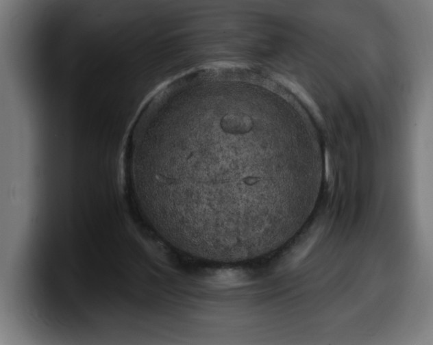 X0000100490204200806131256