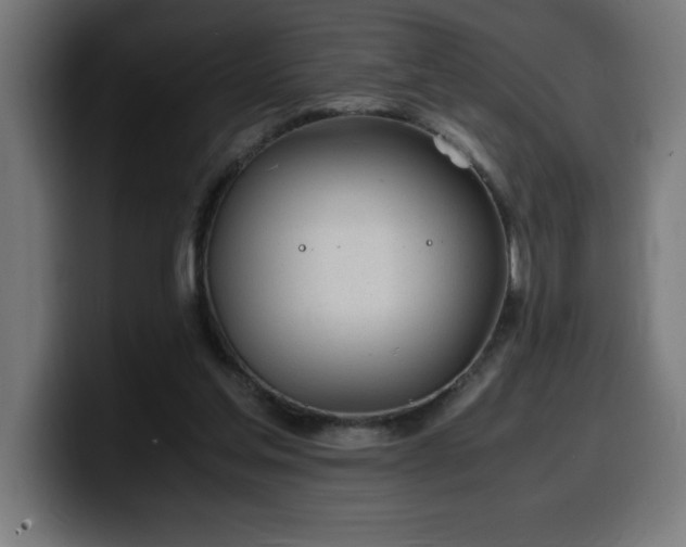 X0000100490205200806131256