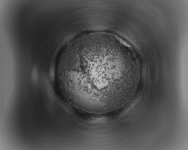 X0000100490206200806131256