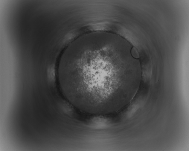 X0000100490207200806131256