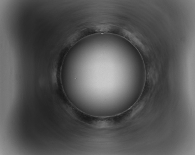 X0000100490209200806131256