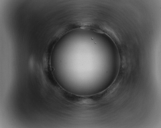 X0000100490210200806131256