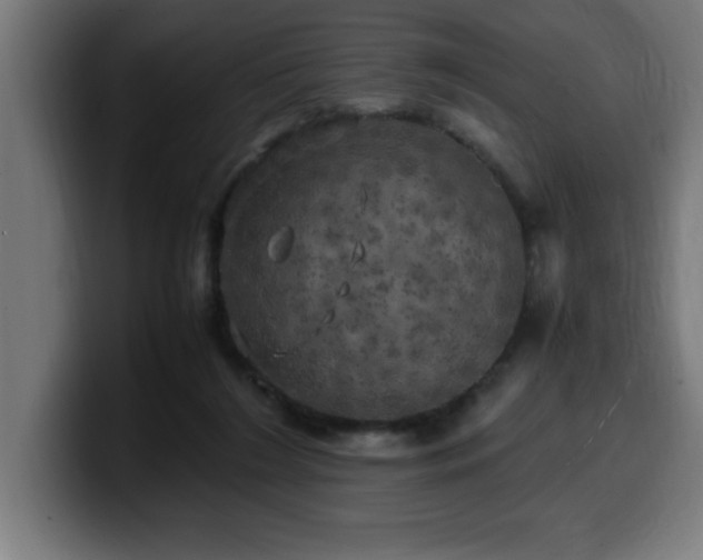 X0000100490212200806131256