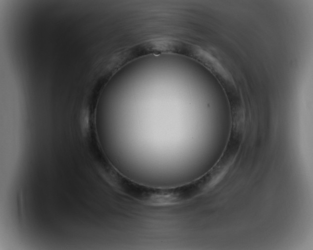 X0000100490213200806131256