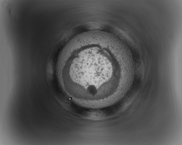 X0000100490215200806131256