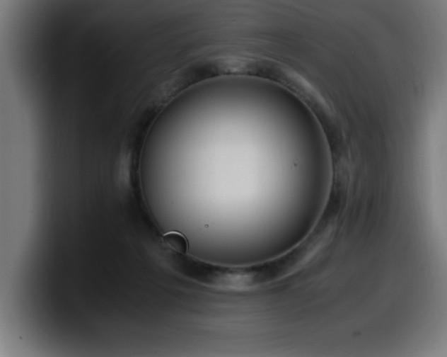X0000100490217200806131256