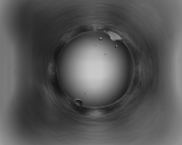 X0000100490218200806131256