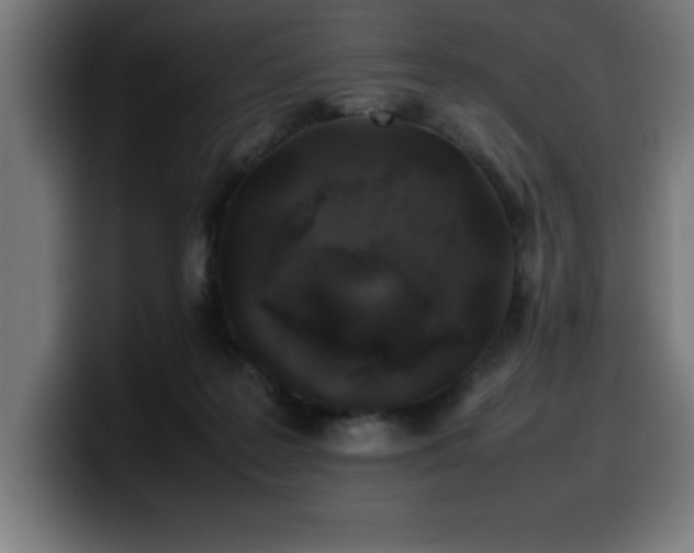 X0000100490219200806131256