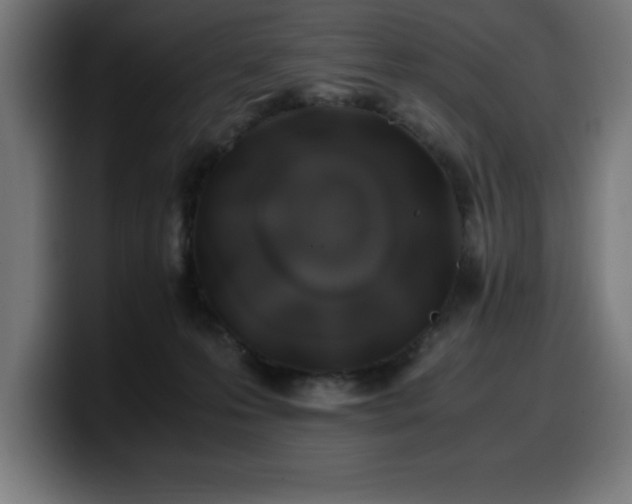 X0000100490223200806131256
