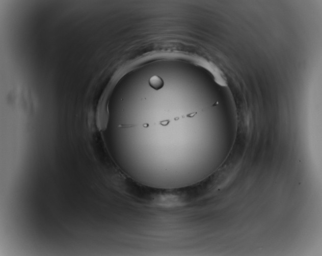 X0000100490224200806131256