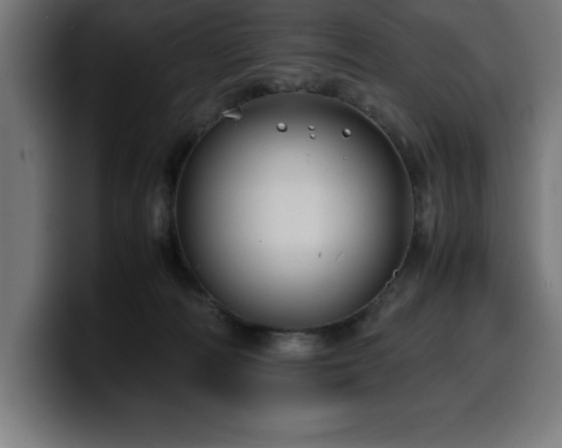 X0000100490226200806131256