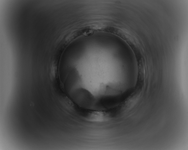 X0000100490227200806131256