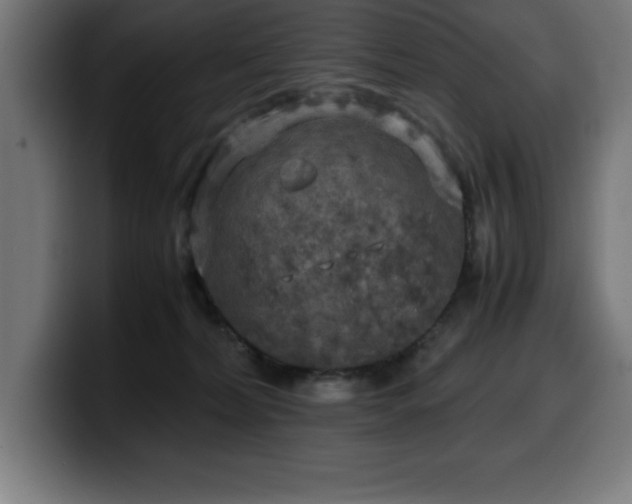 X0000100490228200806131256