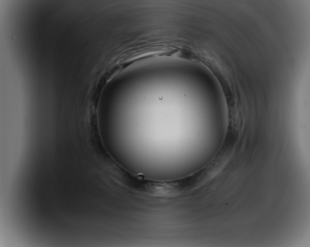 X0000100490229200806131256