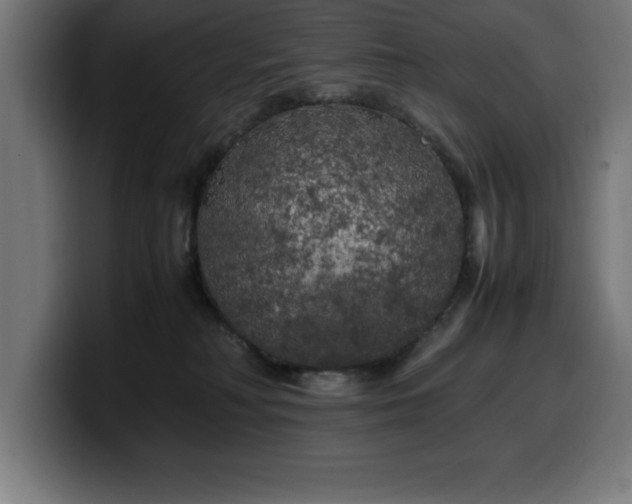 X0000100490230200806131256