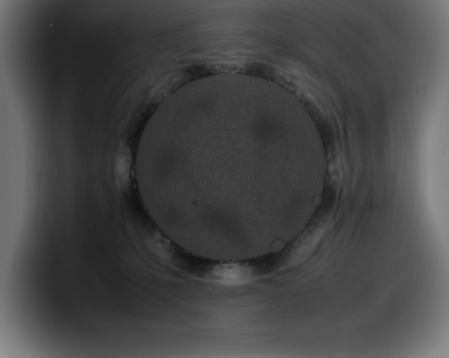 X0000100490231200806131256