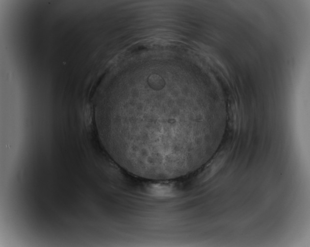 X0000100490232200806131256
