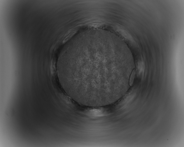 X0000100490236200806131256
