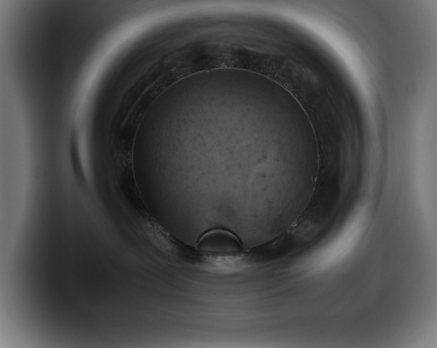 X0000100490239200806131256