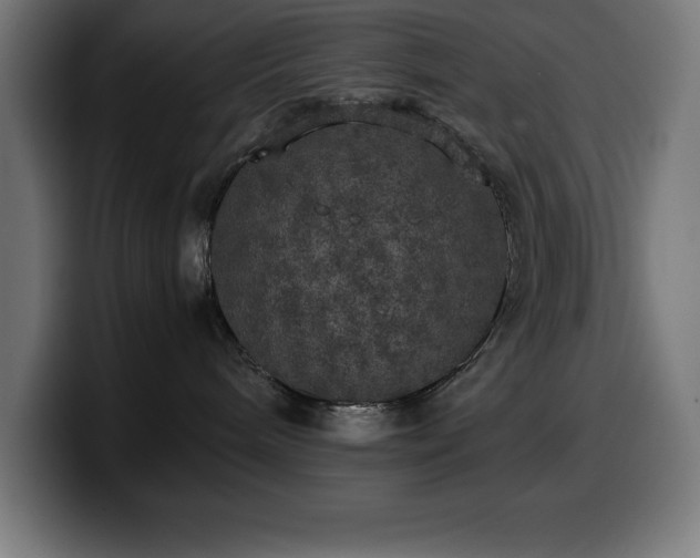 X0000100490240200806131256