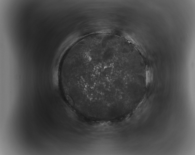 X0000100490243200806131255
