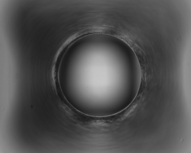 X0000100490244200806131255