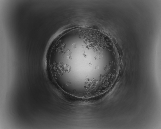 X0000100490246200806131255