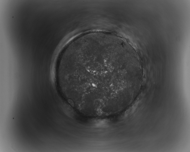 X0000100490247200806131255