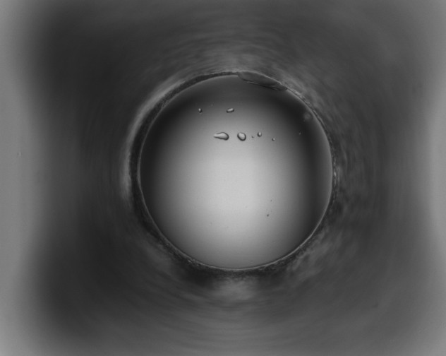 X0000100490248200806131255