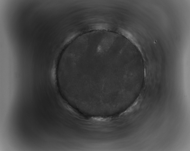 X0000100490249200806131255