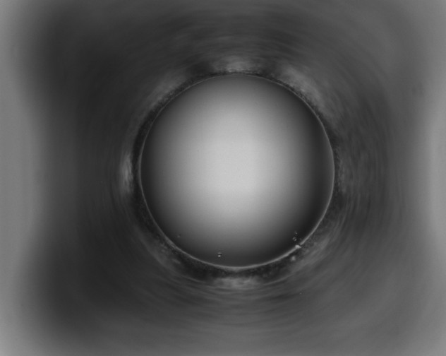 X0000100490251200806131256