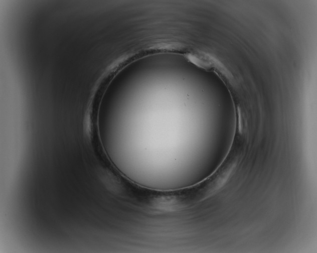 X0000100490252200806131256