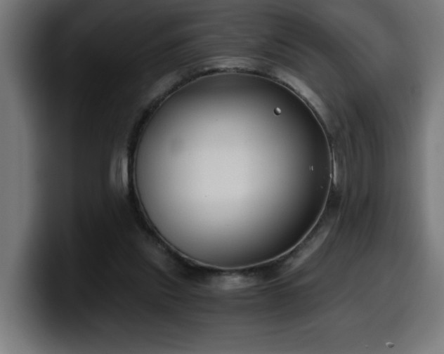 X0000100490253200806131256