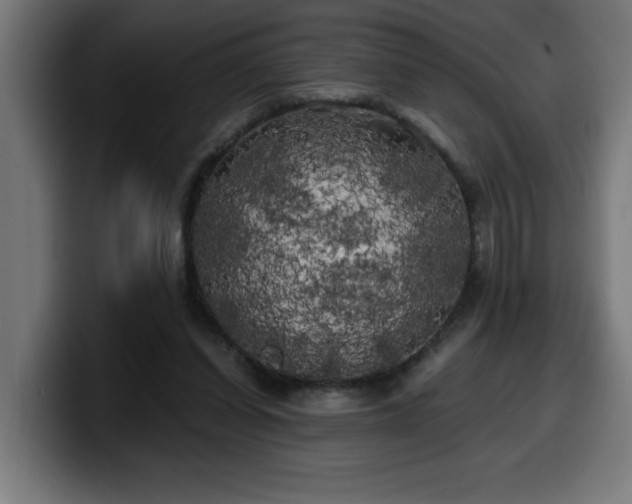 X0000100490254200806131256